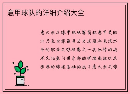 意甲球队的详细介绍大全