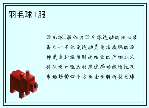 羽毛球T服