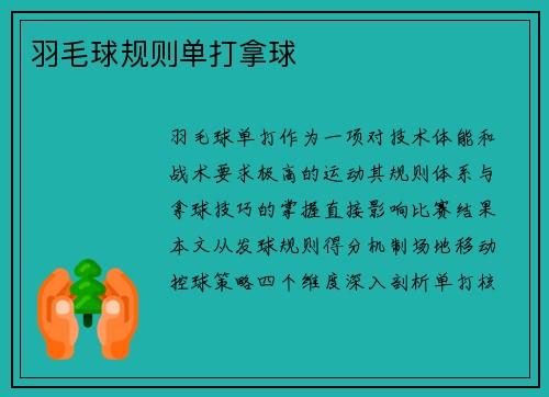 羽毛球规则单打拿球